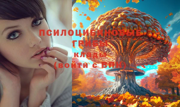 эйфоретик Майский