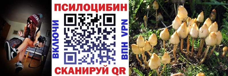 сколько стоит  Норильск  Псилоцибиновые грибы ЛСД 