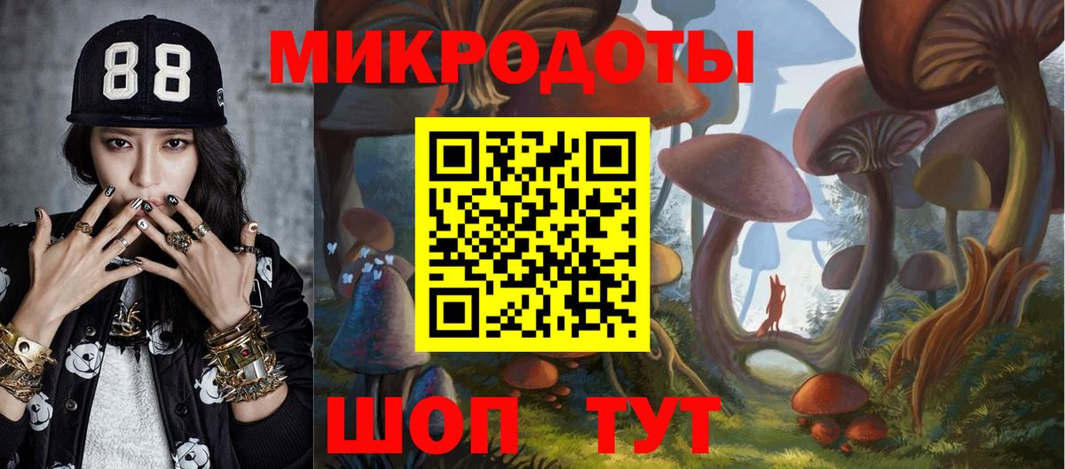 Галлюциногенные грибы Psilocybine cubensis  Галлюциногенные грибы мицелий  Вход с VPN  Норильск 
