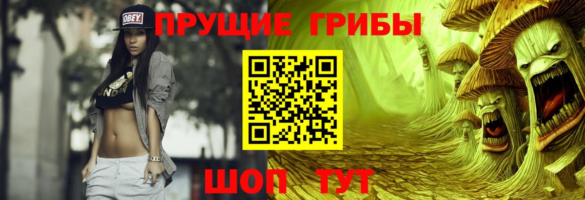 Галлюциногенные грибы GOLDEN TEACHER Норильск